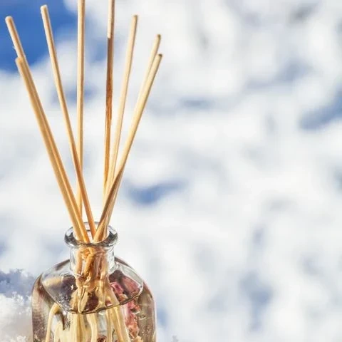 아로마 매장 참고 사진 · 본리동