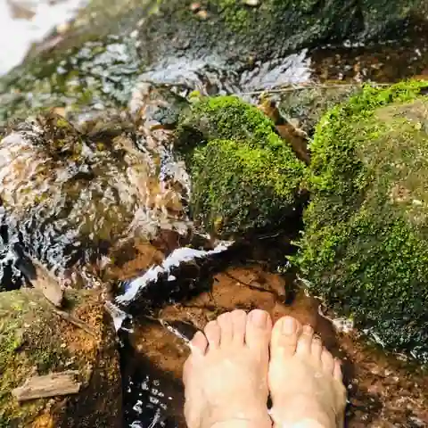 발관리 매장 참고 사진 · 분당구 삼평동
