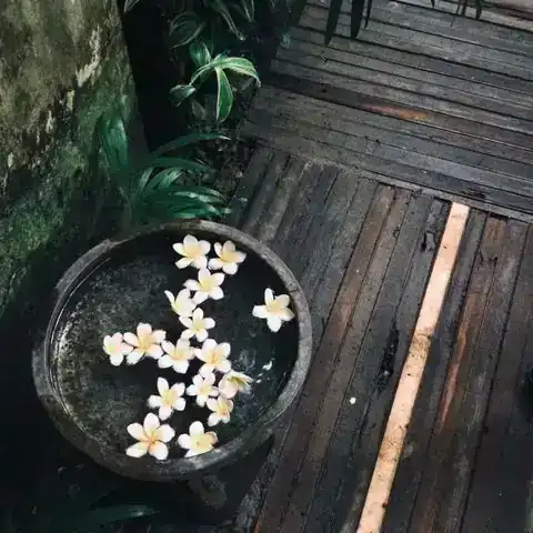 발관리 매장 참고 사진 · 신탄진동