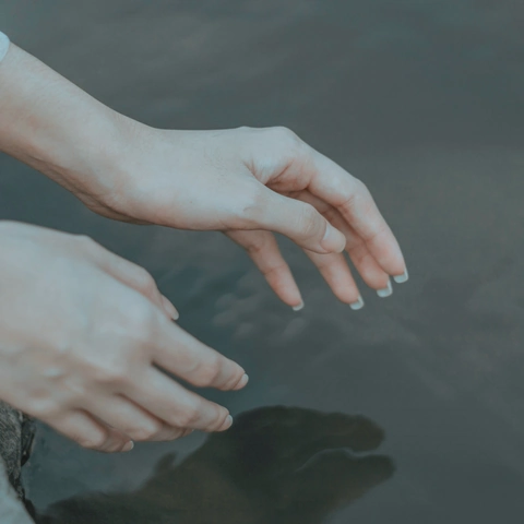발관리 매장 참고 사진 · 송악읍