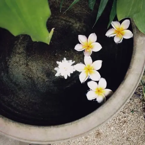 발관리 매장 참고 사진 · 동안구 관양동